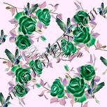 Colour:F