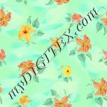 Colour:K