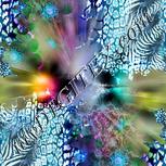 Colour:F