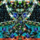 Colour:F