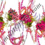 Colour:A