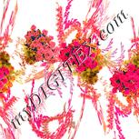 Colour:J