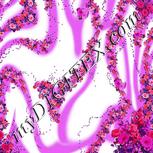 Colour:B