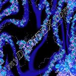 Colour:F