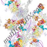 Colour:B