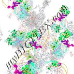 Colour:D