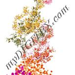 Colour:A