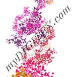 Colour:B