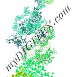 Colour:C