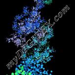 Colour:F