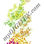 Colour:K