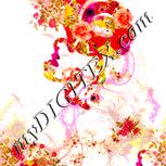 Colour:J