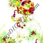 Colour:K