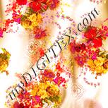 Colour:J