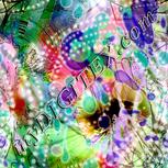 Colour:B