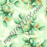 Colour:K