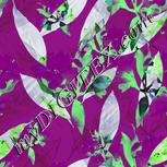 Colour:C
