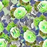 Colour:C