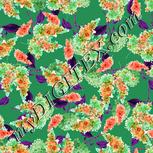 Colour:B