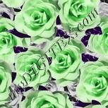 Colour:C