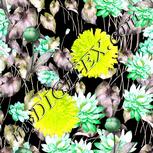 Colour:D