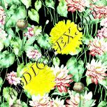 Colour:K