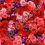 Colour:B