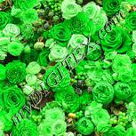 Colour:D