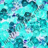 Colour:F