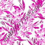 Colour:B
