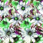 Colour:D