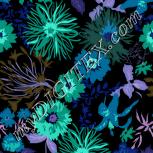 Colour:F