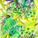Colour:D