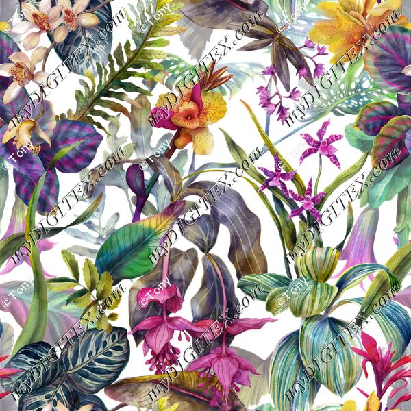 CD25315 Tropical Orchid-OK
