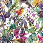 Colour:A