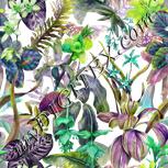 Colour:D