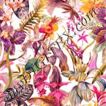 Colour:J