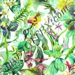 Colour:K