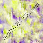 Colour:D