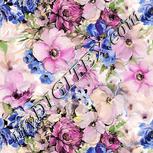 Colour:A