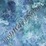 Colour:F