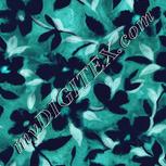Colour:F