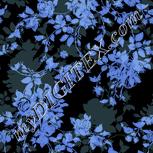 Colour:F