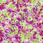 Colour:C
