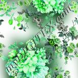 Colour:C