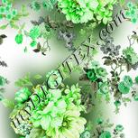 Colour:D