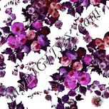 Colour:B