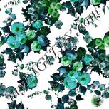 Colour:C