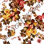 Colour:J