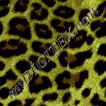 Colour:K